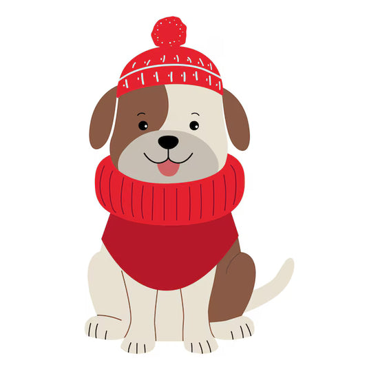 PetPotli Essential Coat