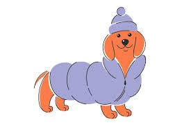 PetPotli Quilted Coat