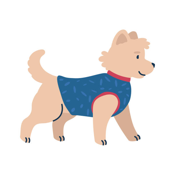 PetPotli Recovery Softshell Jacket
